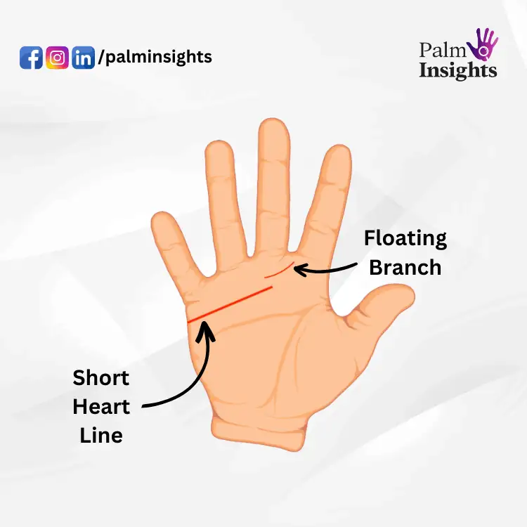 Illustrated palm with short heart line and floating branch showing branches at end of heart line.