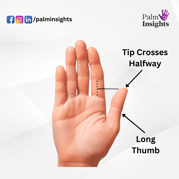 Long-Thumb-In-Palmistry