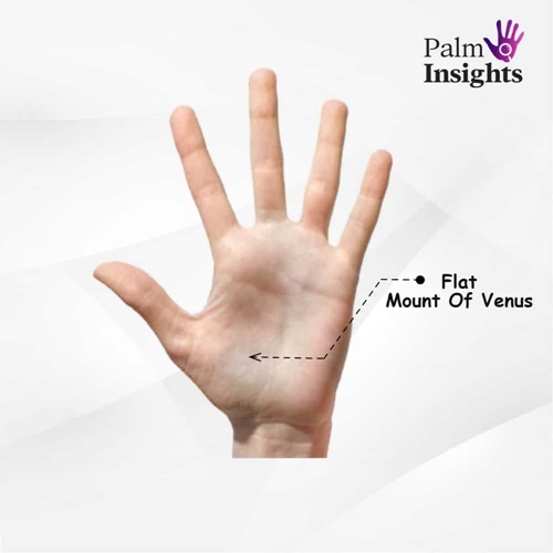 Flat-Venus-Mount-Palmistry