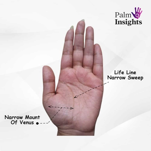 Narrow-Venus-Mount-Palmistry