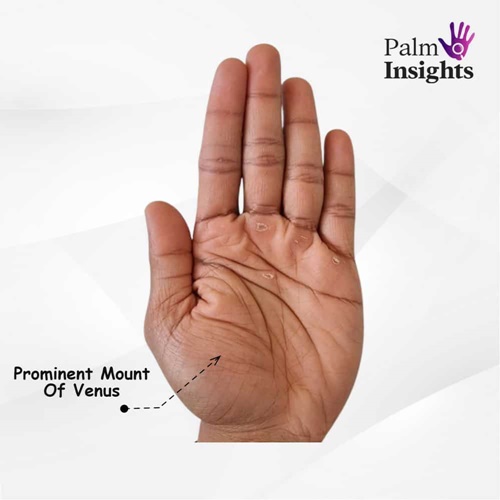 Prominent-Venus-Mount-Palmistry