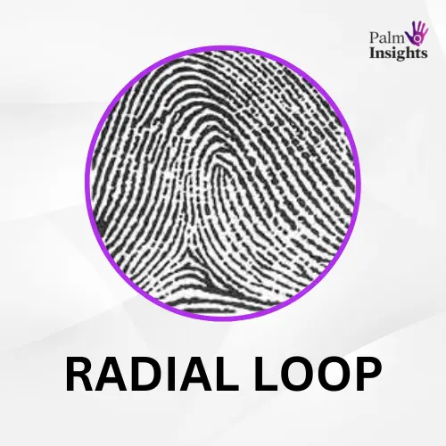Radial-Loop-Fingerprint-In-Palmistry-1