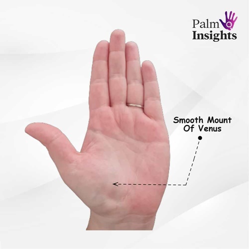 Smooth-Venus-Mount-Palmistry