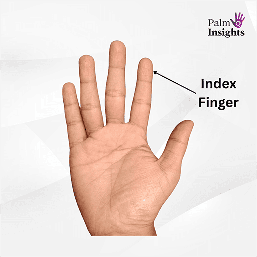 Which-Finger-Is-Called-The-Index-Finger