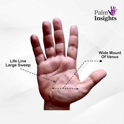 Wide-Venus-Mount-Palmistry