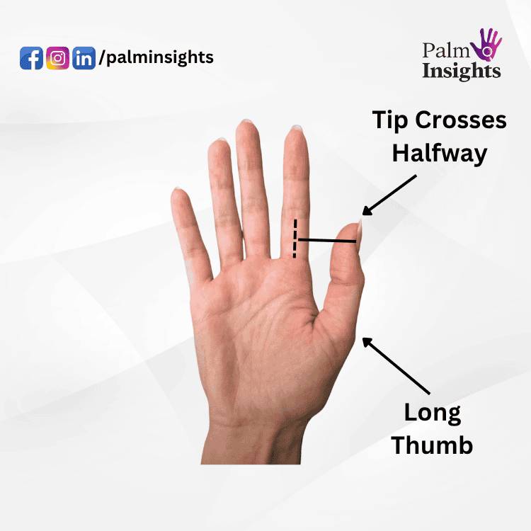 Long thumb palmistry example where the thumb tip crosses the midpoint of the bottom phalange of the index finger, illustrating long thumb meaning and strong willpower.